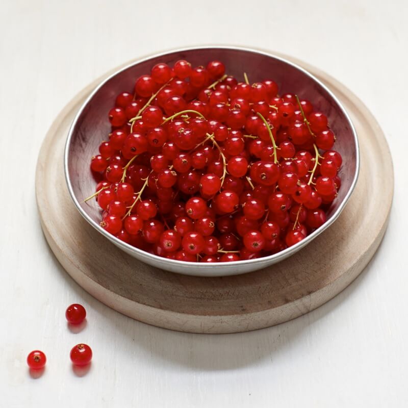 Redcurrants